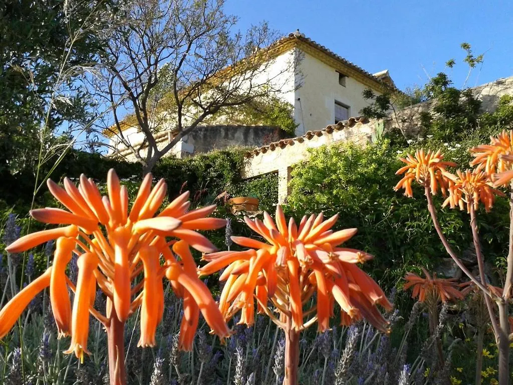Mas Castell De Gimenelles Hotel Sant Jaume dels Domenys